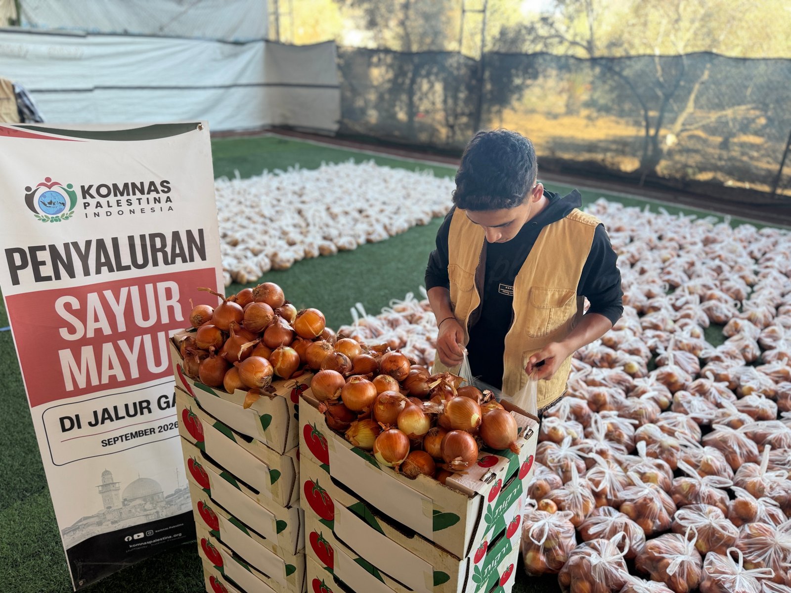 Bantuan Sayur dan Buah di Utara dan Selatan Jalur Gaza