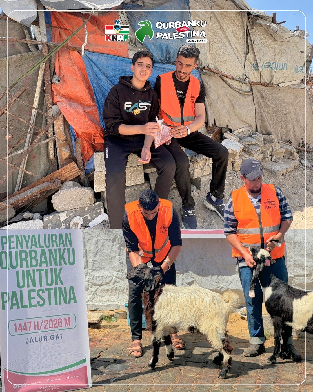 Penyembelihan dan Distribusi Qurban 4 Ekor Kambing Jalur Gaza, 28 Mei 2026